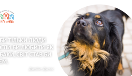 slide3ua