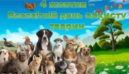 images (1)