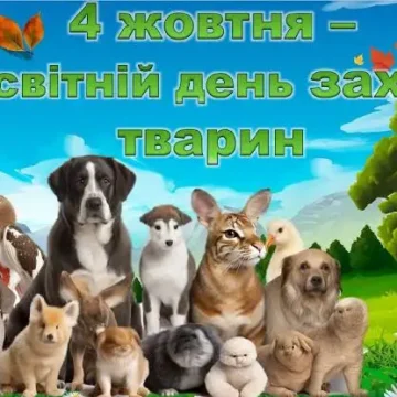 images (1)