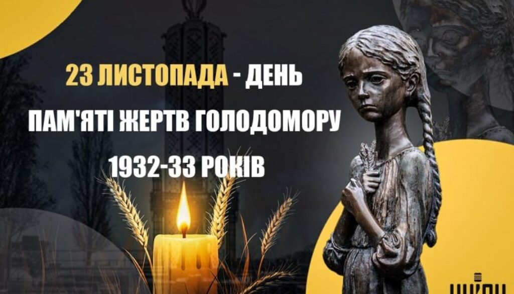800_0_1732198608-9636