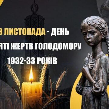 800_0_1732198608-9636